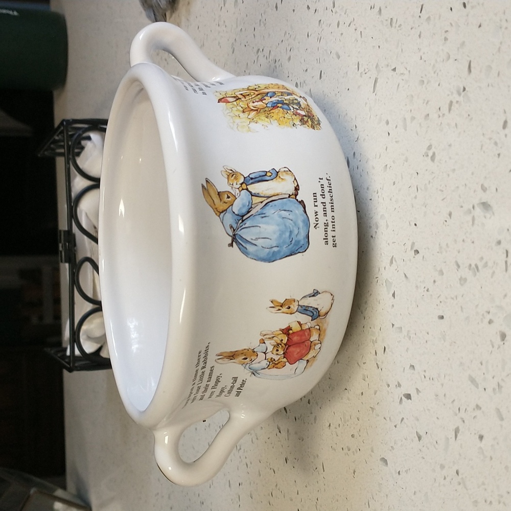Peter rabbit soup bowl